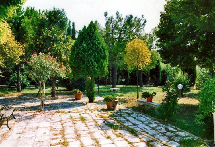 Bed&Breakfast Giardino Agritourist Controguerra Luaran gambar